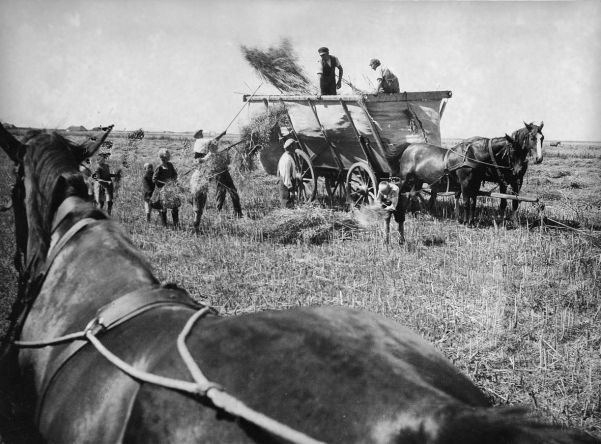 German agricultural workers. The Nazis made great effort to alleviate the poor state of German agriculture.