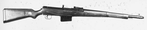 Gewehr 41